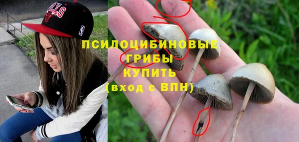 МДПВ Верхний Тагил