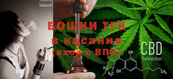 МДПВ Верхний Тагил