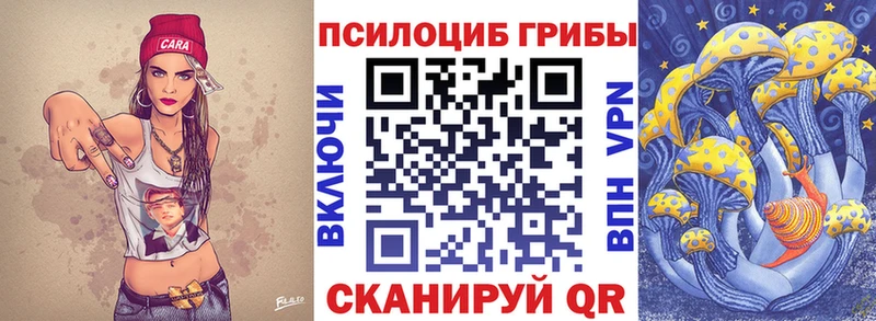 Псилоцибиновые грибы мицелий  Вологда 